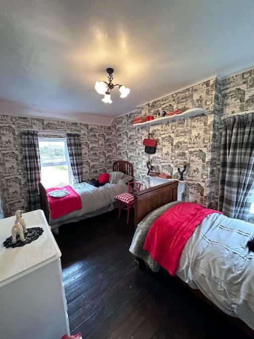 Memory Lane Farmhouse Carlingford Louth المظهر الخارجي الصورة